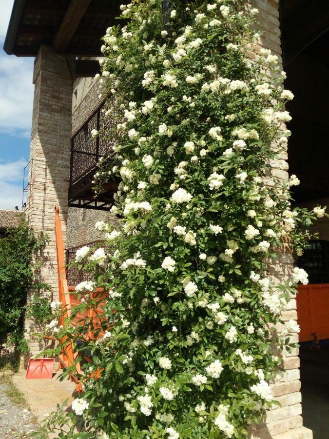 Agriturismo Ca' Preda Villa San Giorgio Piacentino Eksteriør billede