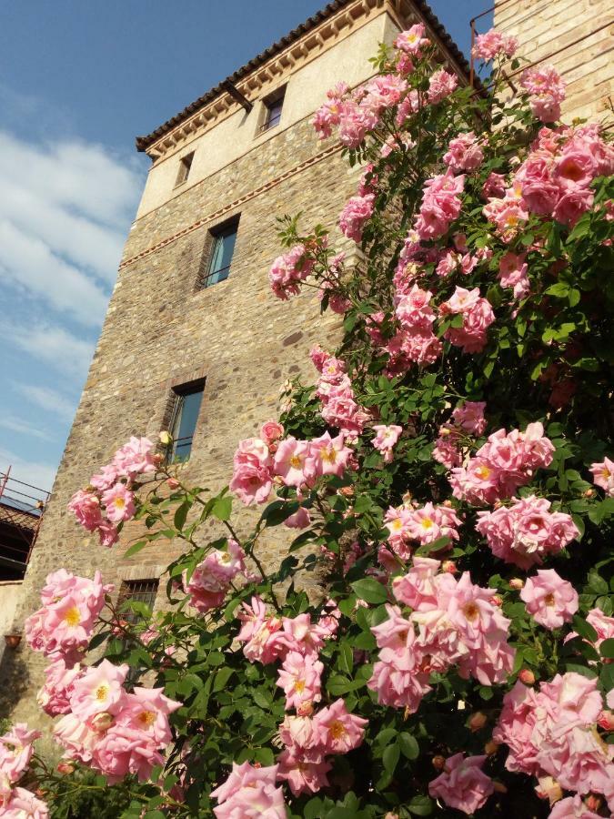 Agriturismo Ca' Preda Villa San Giorgio Piacentino Eksteriør billede